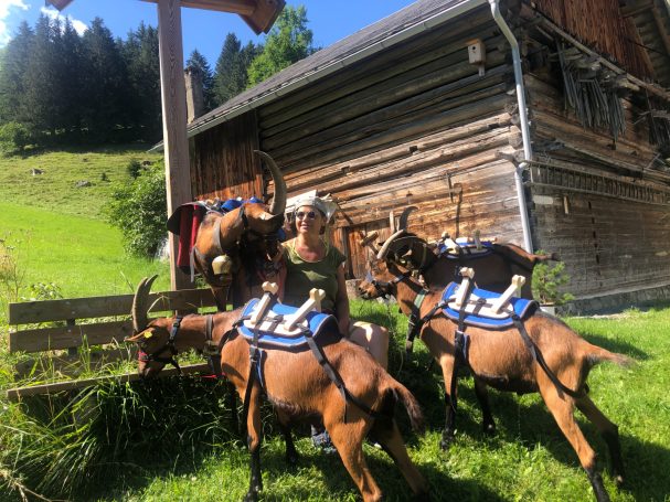Wandern mit Ziegen
